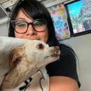 Starburst Spa Mobile Pet Grooming - Pet Grooming