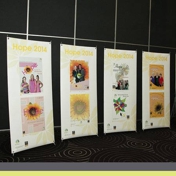 Gallery Image Number 7