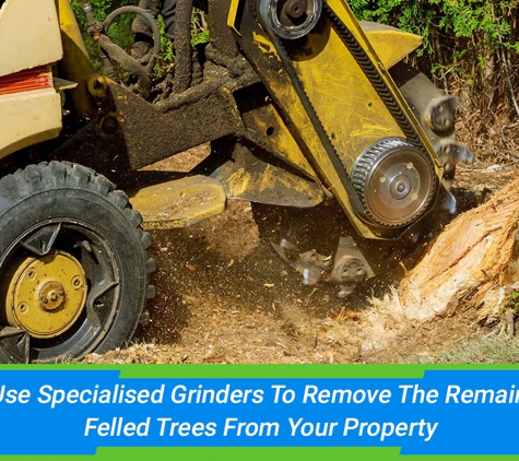 Affordable Stump Grinding - Elanora, QLD. We Use Specialised Grinders To Remove The Remains Of Felled Trees From Your Property