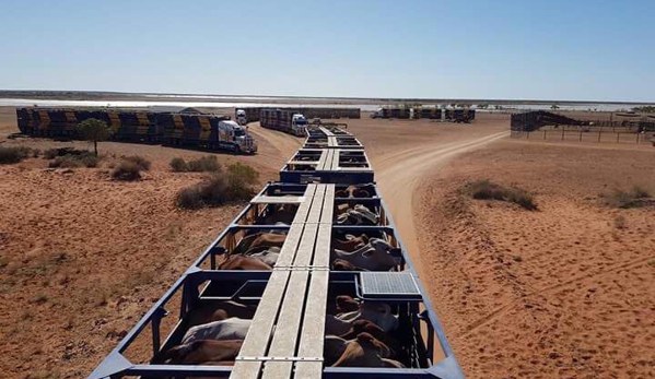Camrandale Transport - Quilpie, QLD
