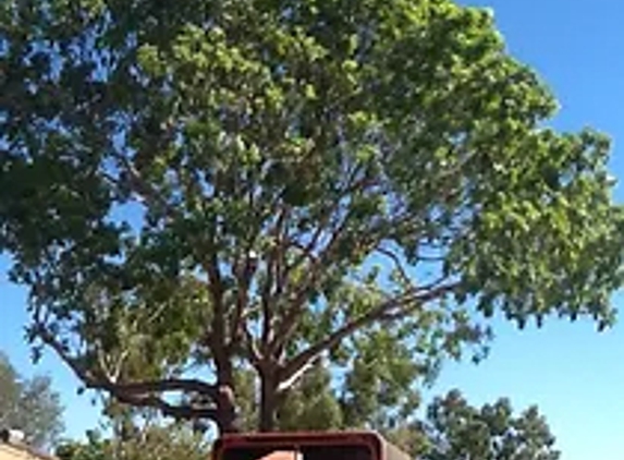 North West Tree Services