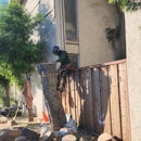 Appletree Services Inc - Tree Service