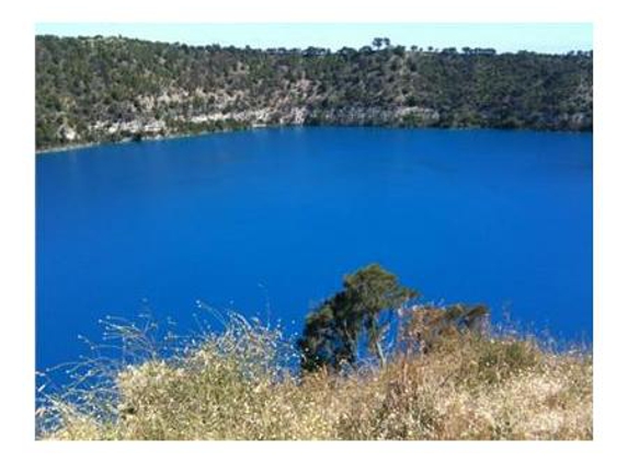 Limestone Coast Tourist Park - Glenburnie, SA