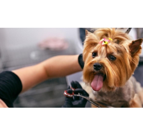 Pet Works Dog Grooming - Baton Rouge, LA