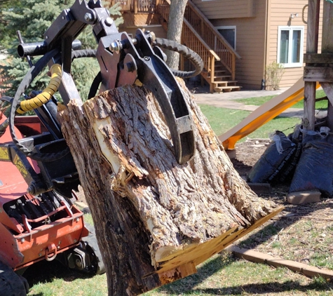 West Omaha Tree Service. Backyard tree removal Omaha - West Omaha Tree Service - tree service provider Omaha - copyright 2023