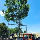 Moon Valley Nurseries - Garden Centers