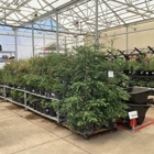 Tractor Supply Co