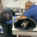 VCA PetMed Animal Hospital - Pet Services