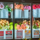 Blooms Social