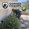 Gopher Champs gallery