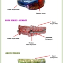 State of the Art Dental Group - Dentists