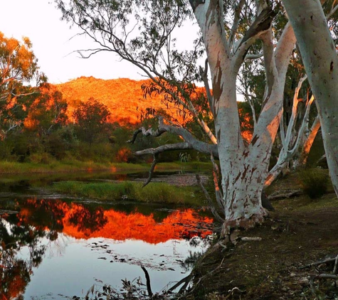 Biodiversity Assessment & Management - Cleveland, QLD