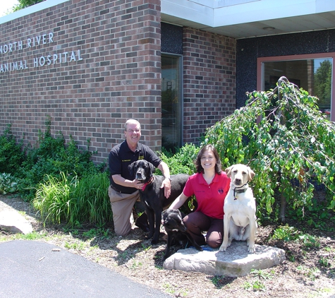 North River Animal Hospital - Fort Gratiot, MI