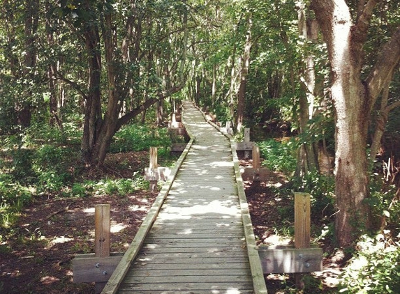 Abbott's Mill Nature Center - Milford, DE