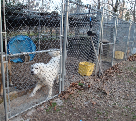 Lady & The Tramp's Grooming & Boarding - Bryant, AR