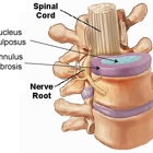 Bowden Chiropractic Physician - Advanced Spinal Rehabilitation