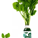 Garden of Flavor - Health & Wellness Products