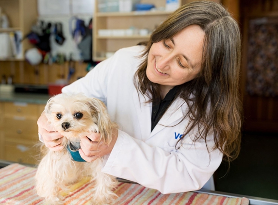 VCA Gateway Animal Hospital - Anderson, CA