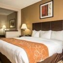 Comfort Suites Lumberton North - Lodging
