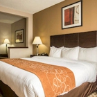Comfort Suites Lumberton North