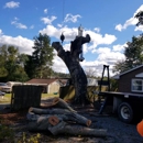 Scott Lanes Tree Service - Stump Removal & Grinding