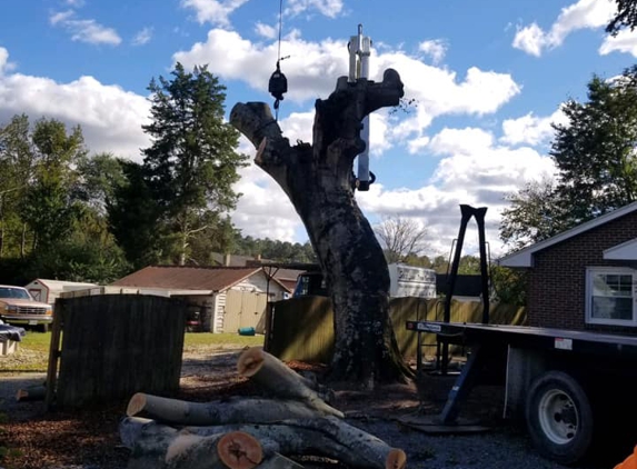 Scott Lanes Tree Service - Chesapeake, VA