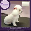 Runway Pet Grooming Inc gallery