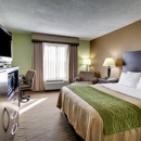 Comfort Inn Pearl-Jackson - Motels