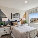 Dolfina by D.R. Horton - Home Builders