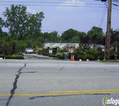 Cahoon Nursery - Westlake, OH