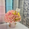 My Divine Decors gallery