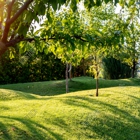 ArborLawn