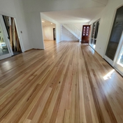 Gallery Image Number 5