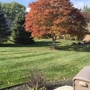 Absolute Lawn Care & Snow Removal