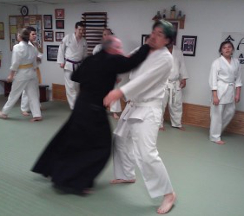 Aikido Academy-Martial Arts - New Port Richey, FL