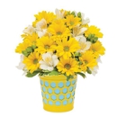 Bee Flowers - Flowers, Plants & Trees-Silk, Dried, Etc.-Retail