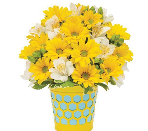 Buzy Bee Flowers & Gifts - Ozark, AR