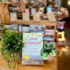 Beach Town Books