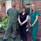 Hawkes Dental