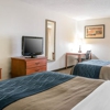 Comfort Inn Downtown - University Area gallery