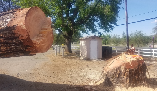 Pope Valley Tree LLC - Pope Valley, CA. After
Pope Valley Tree, LLC