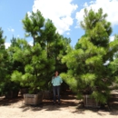Moon Valley Nurseries - Garden Centers