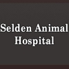 Head to tail animal hospital gallery