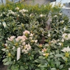 Kurtz Bros Mulch & Soils gallery
