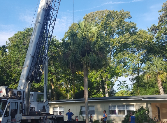 Odons Beaches Tree Service - Jacksonville Beach, FL