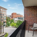 Hampton Inn & Suites Greenville-Downtown-RiverPlace - Hotels