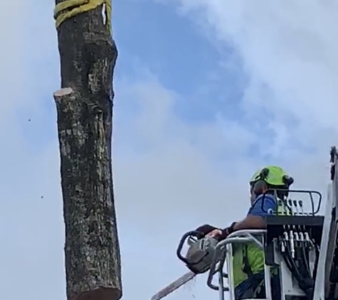 Central Florida ArborCare - Apopka, FL