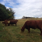 Clagett Farm