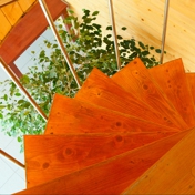 Gallery Image Number 1