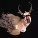 Great Falls Taxidermy - Taxidermists